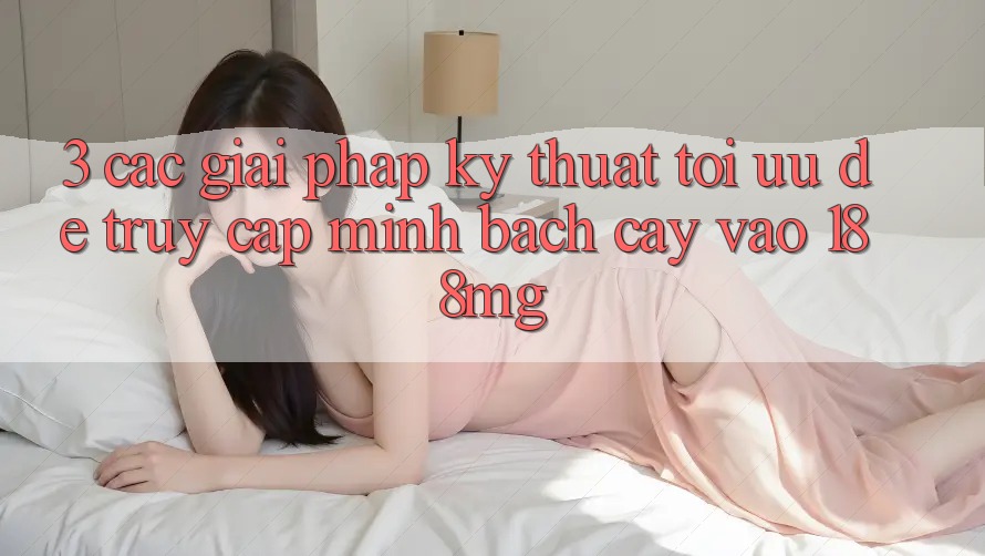 3. Các giải pháp kỹ thuật tối ưu để truy cập minh bạch cậy vào 188mg 3. Các giải pháp kỹ thuật tối ưu để truy cập minh bạch cậy vào 188mg