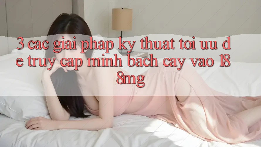 3. Các giải pháp kỹ thuật tối ưu để truy cập minh bạch cậy vào 188mg 3. Các giải pháp kỹ thuật tối ưu để truy cập minh bạch cậy vào 188mg