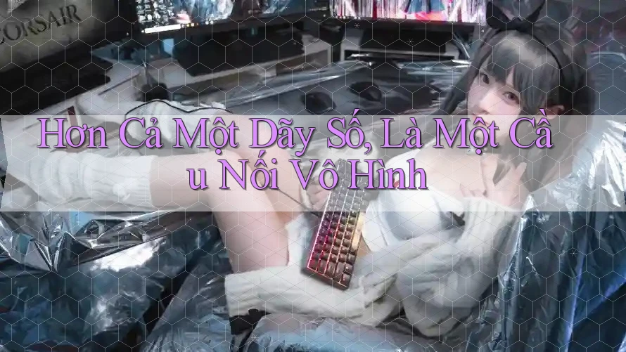 Hơn Cả Một Dãy Số, Là Một Cầu Nối Vô Hình Hơn Cả Một Dãy Số, Là Một Cầu Nối Vô Hình