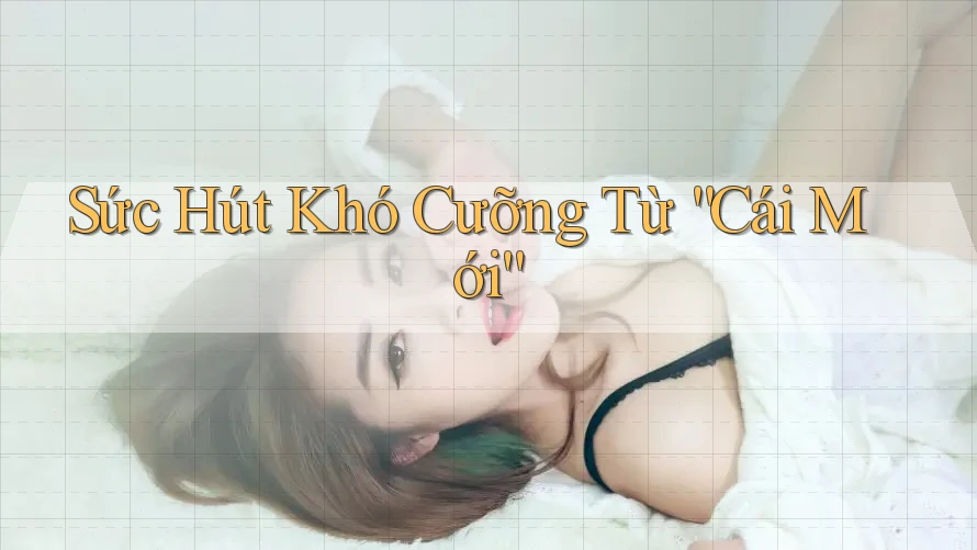 Sức Hút Khó Cưỡng Từ “Cái Mới” Sức Hút Khó Cưỡng Từ “Cái Mới”