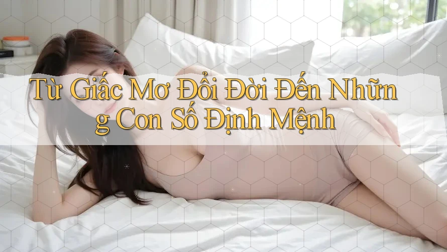 Từ Giấc Mơ Đổi Đời Đến Những Con Số Định Mệnh Từ Giấc Mơ Đổi Đời Đến Những Con Số Định Mệnh